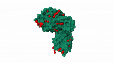 Monte Carlo Protein Enhancer project visual