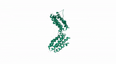 Protein Mutation Analysis project visual